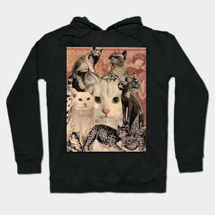 Cats Hoodie